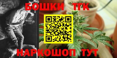хмурый Шелехов