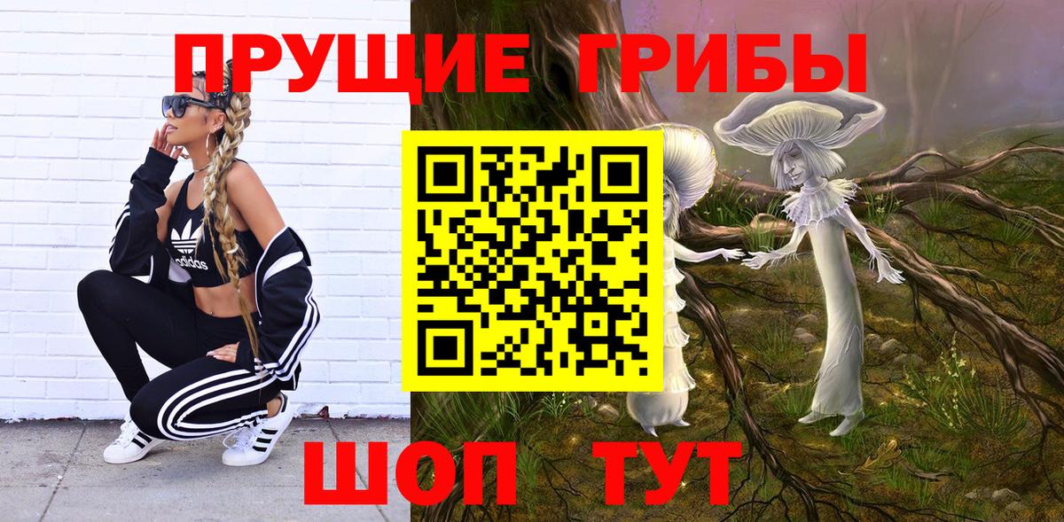 Ачхой-Мартан  Псилоцибиновые грибы GOLDEN TEACHER  Вход с VPN  Галлюциногенные грибы Cubensis 
