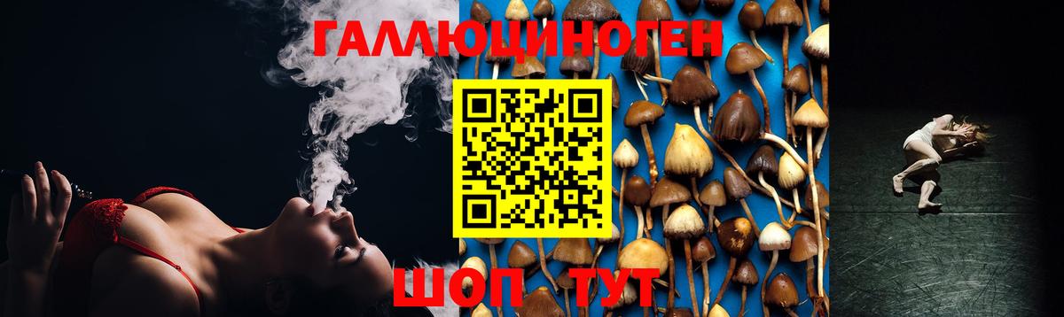 Галлюциногенные грибы мицелий Ачхой-Мартан
